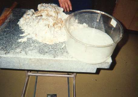 the kozo is tested